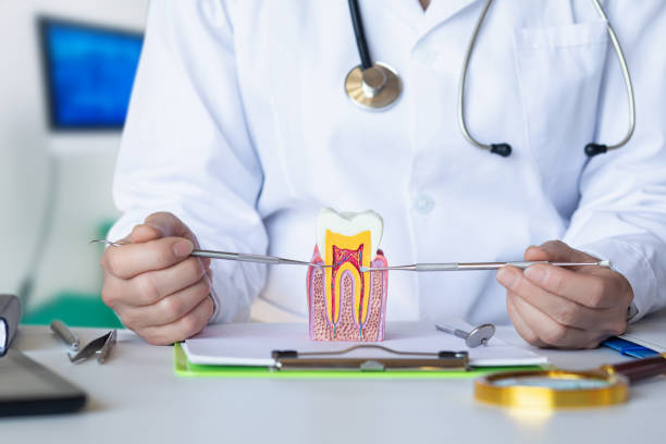 Best Cosmetic Emergency Dentistry in Biscoe, NC